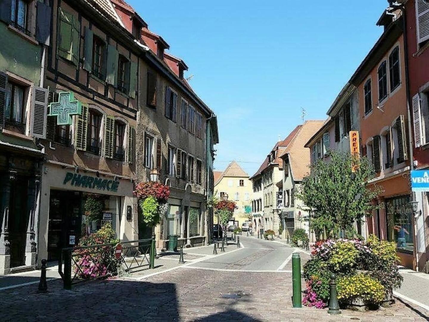 Studio L'Epicea Climatisation Sejour Parfait Soultz-Haut-Rhin Dış mekan fotoğraf